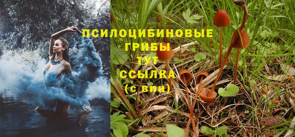 кокаин колумбия Дмитровск