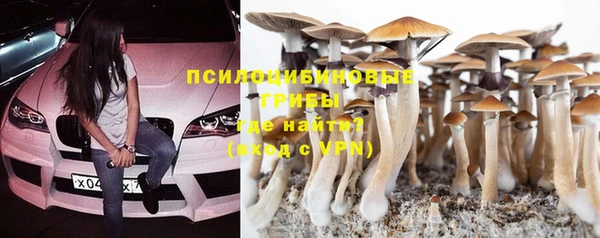 бутират Тобольск