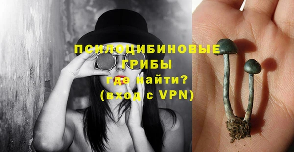 Альфа ПВП Туринск