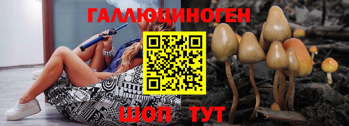 Псилоцибиновые грибы мицелий Осинники